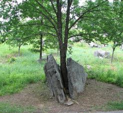 Gettysbug13June2007158
